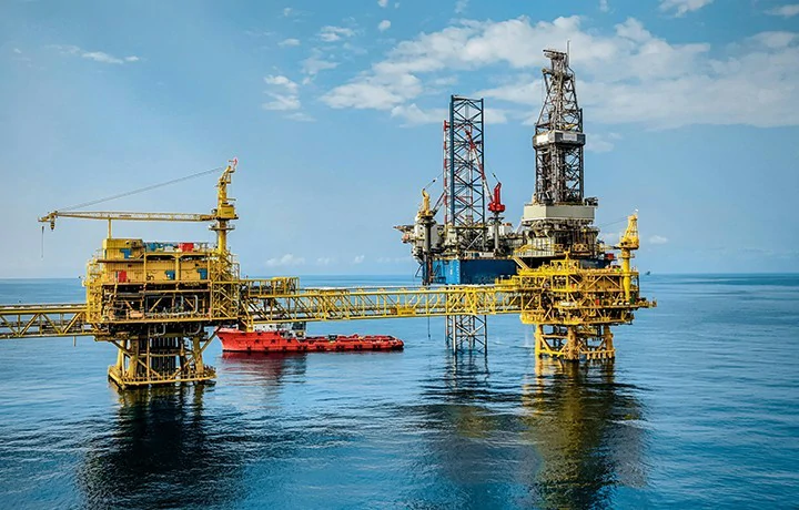Multi-row cylindrical roller bearings for Drilling Platform