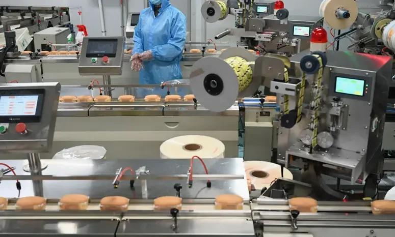 Self-Aligning Ball Bearings with Dust Covers (ZZ or 2Z Type) in Food Food Processing Machinery ~1
