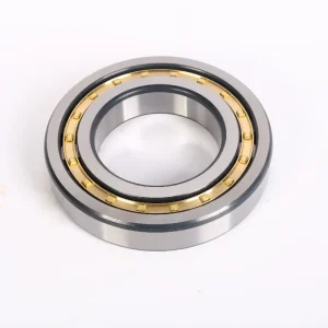 Expert Guide: 5 Factors When a Straight Cylindrical Roller Bearing is Subjected to Heavy Loads
